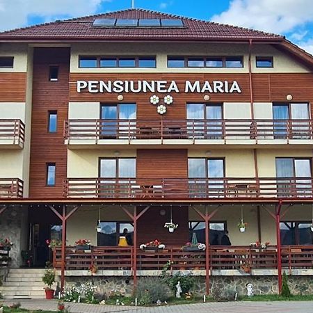Pensiunea Maria Gilău 외부 사진